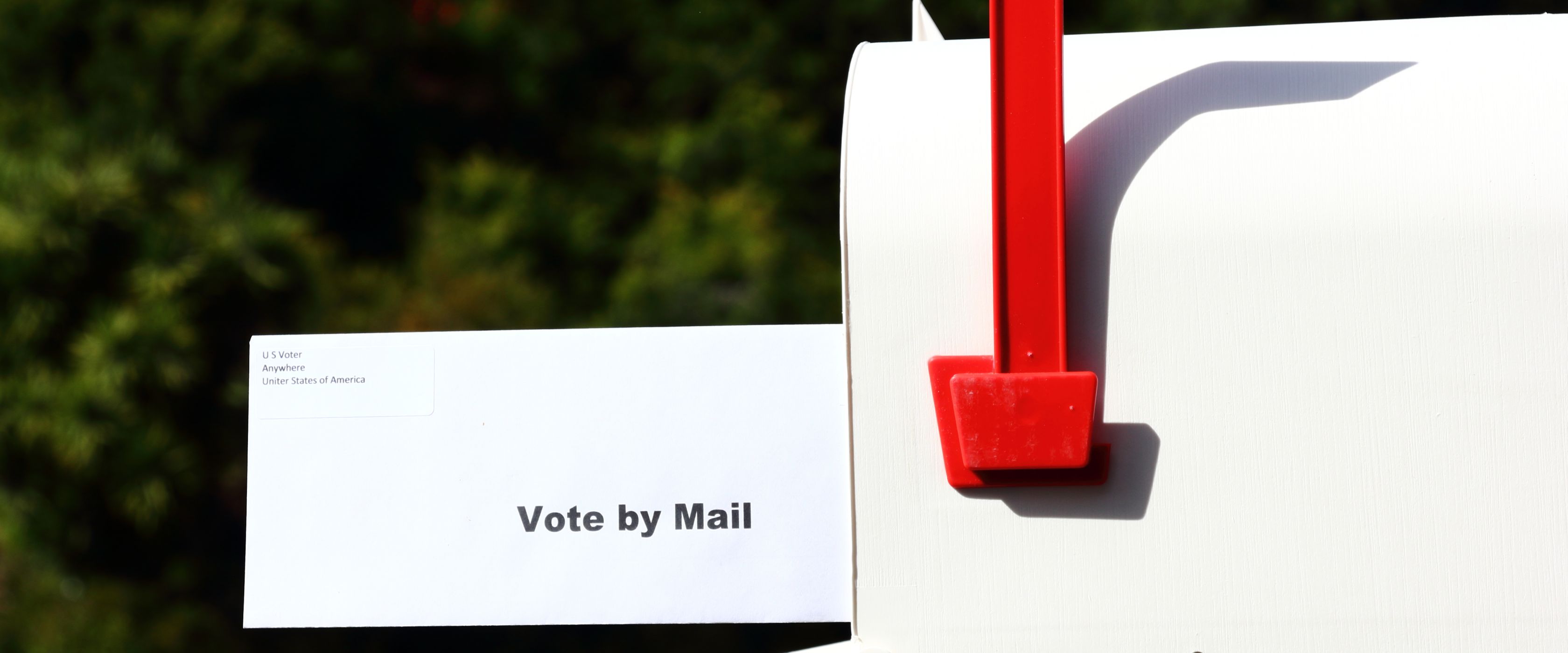 vote by mail 