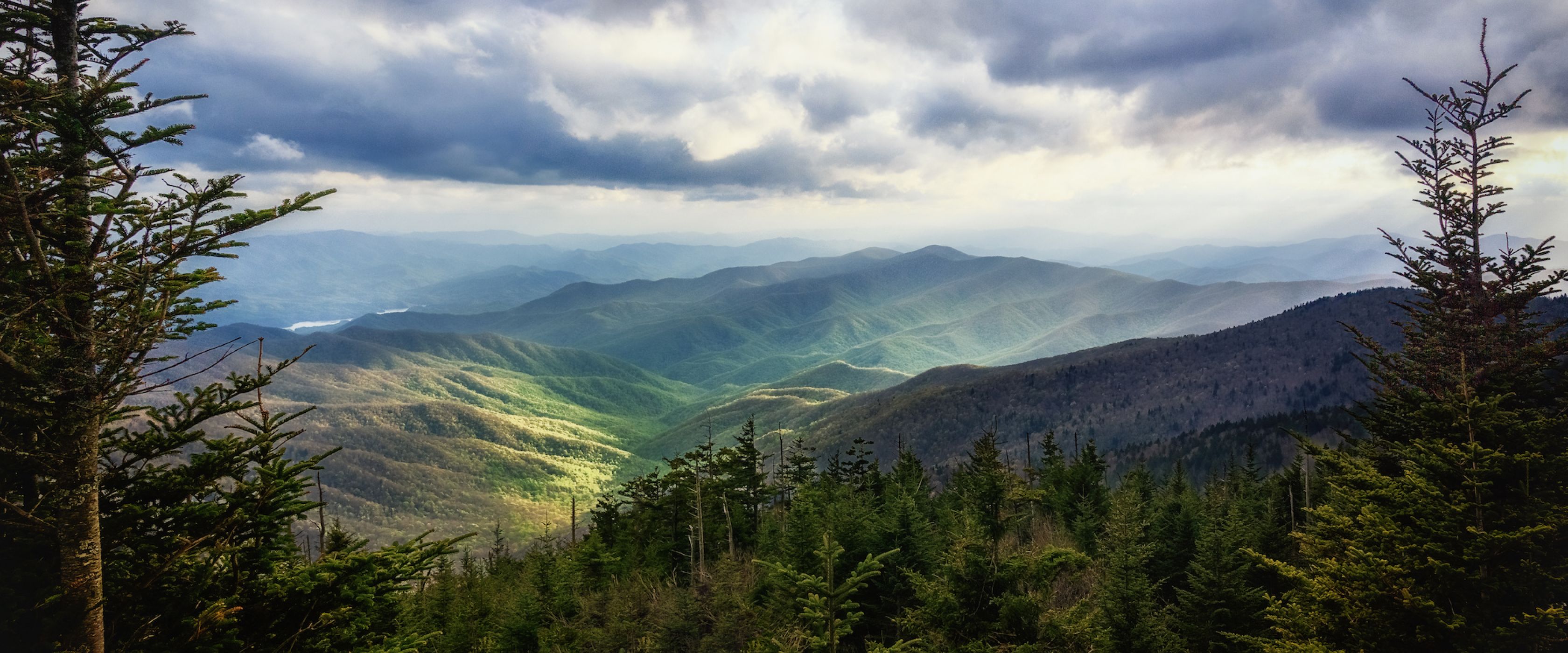 Forest and mountains