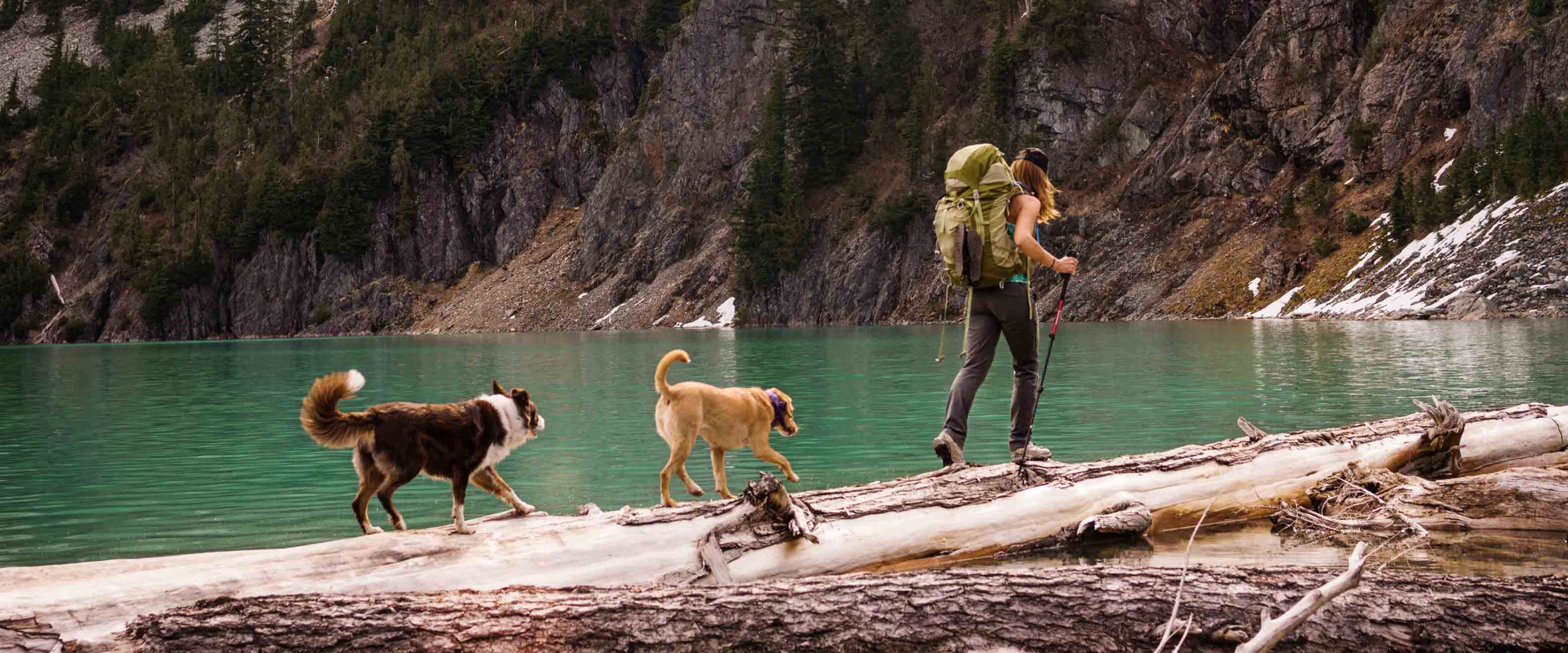 Woman and dogs walking on a log