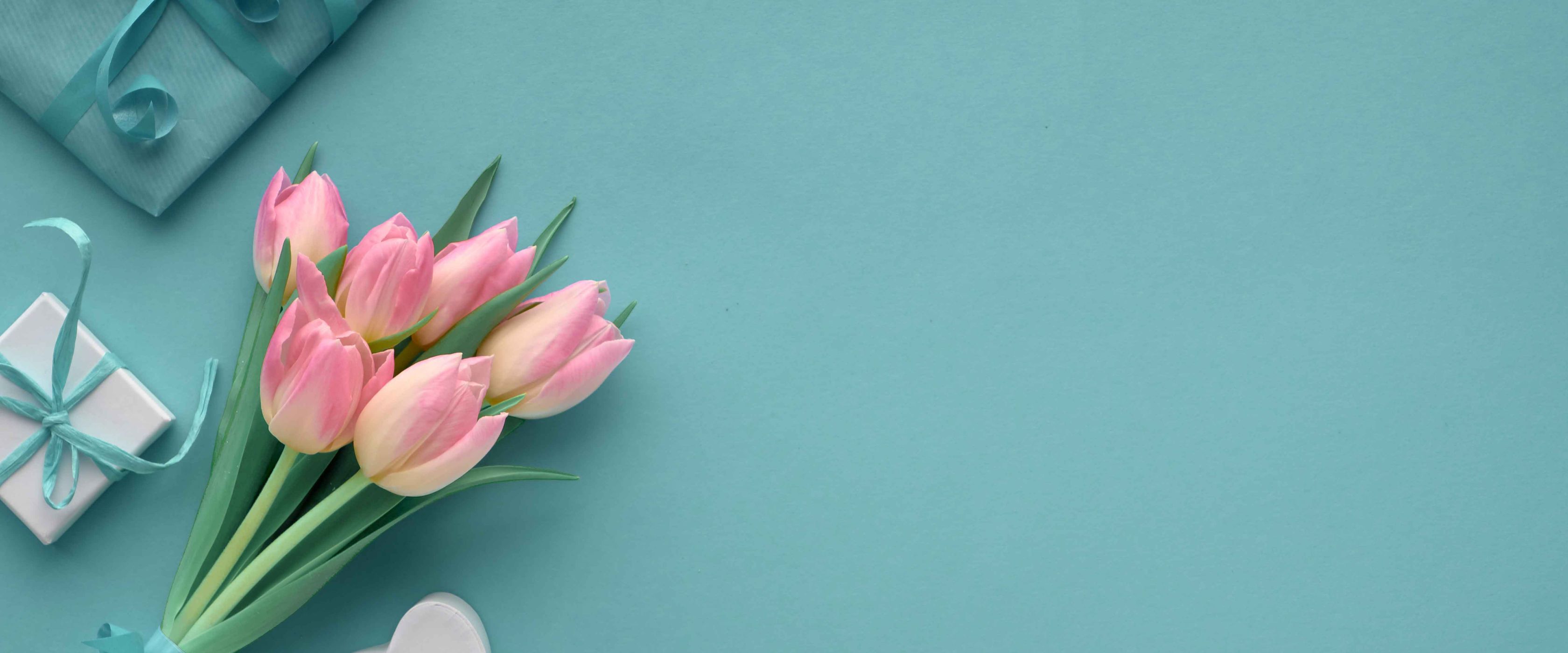 Tulips on blue background