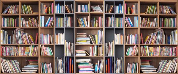 Books on a bookshelf