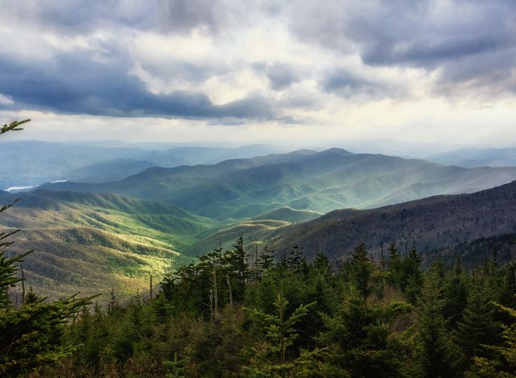 Forest and mountains