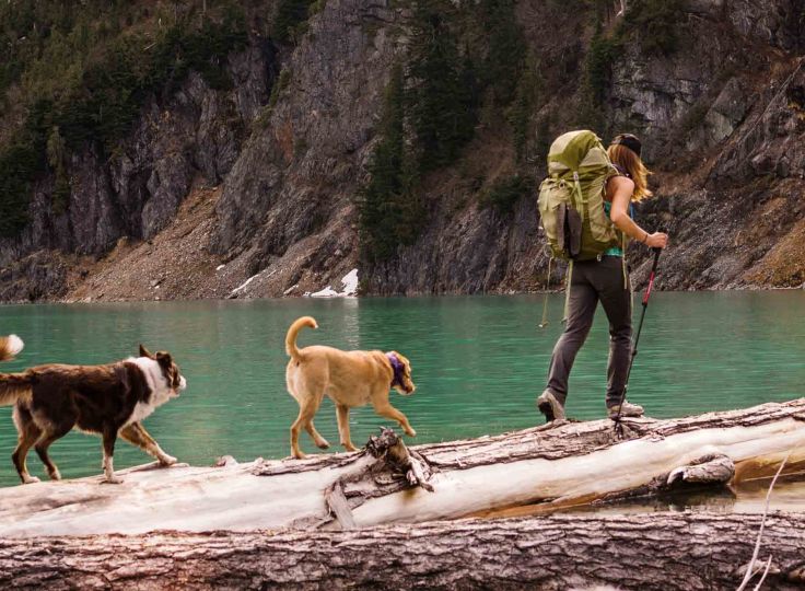 Woman and dogs walking on a log