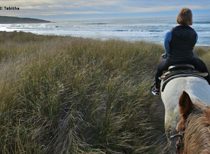 FlexCare Travel Nurse on a horse