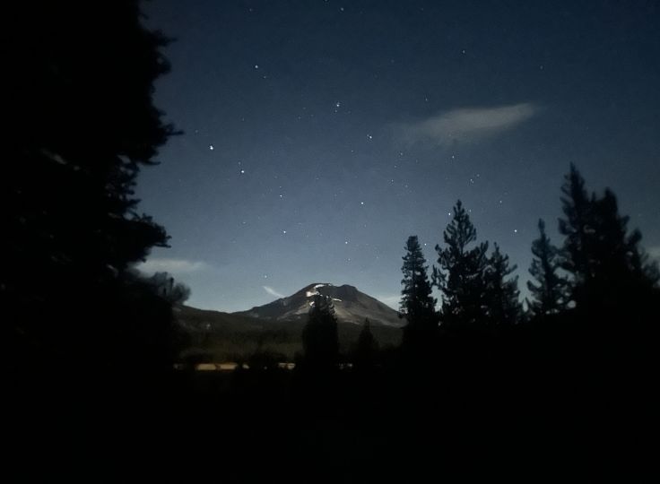 Night time image of trees and stars