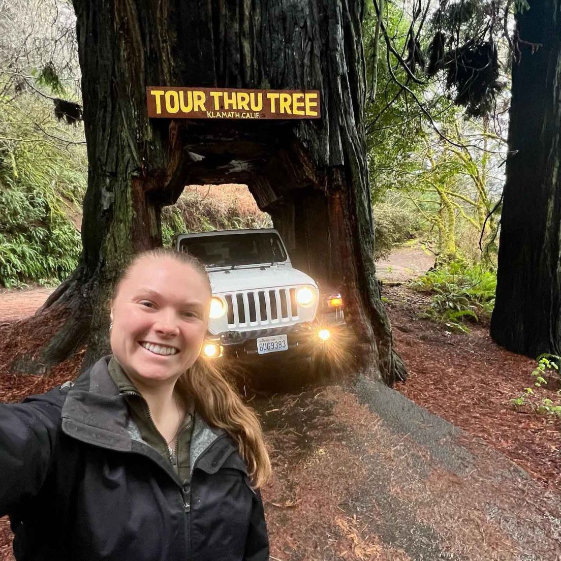 FlexCare Travel Nurse in the Redwoods