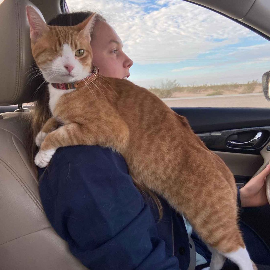 FlexCare Travel Nurse and her Cat, Nacho