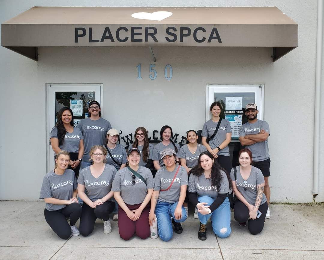 FlexCare Volunteering at Placer SPCA