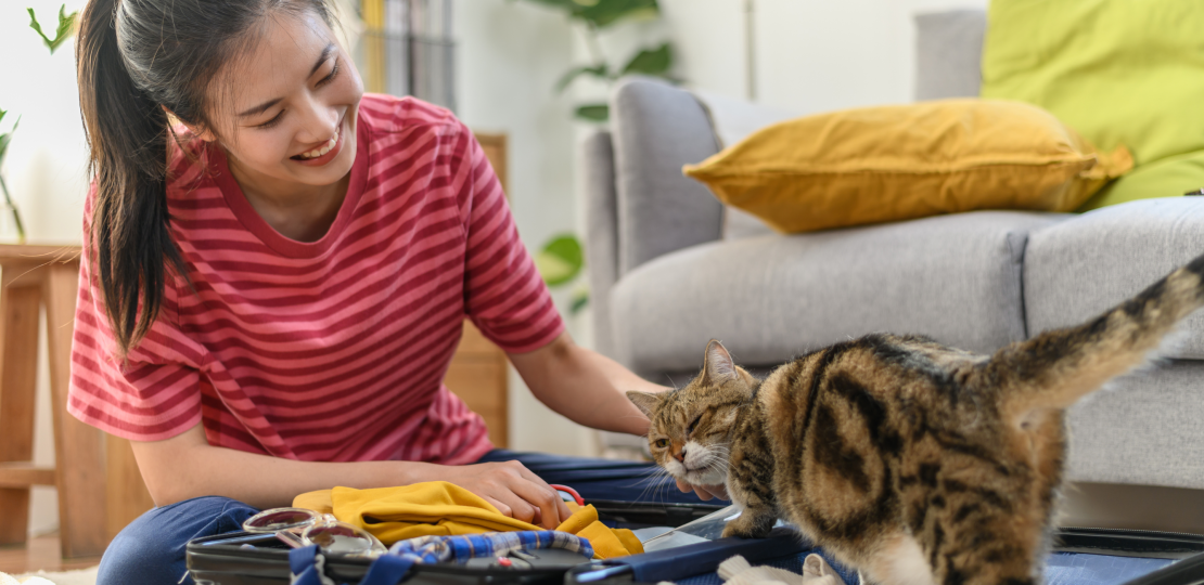 A clinician packs while her cat assists