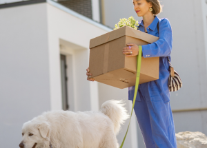 A clinician carries a box while her leashed dog walks along side